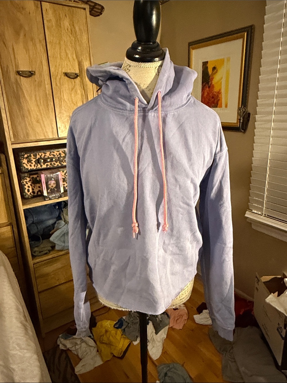 Wild Fable Blue Pullover Hoodie with Pink Drawstrings - Small - Picture 1 of 5